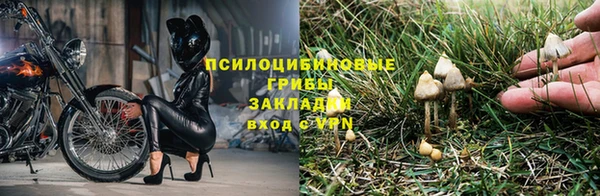 кокс Щигры
